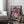 Tablou înramat „Pink Rose No 04” de Pictufy Studio III