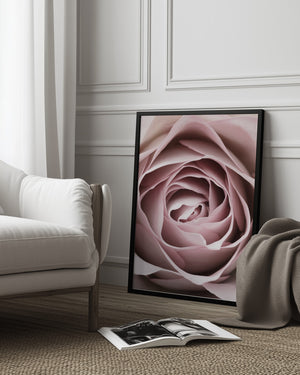 Tablou înramat „Pink Rose No 04” de Pictufy Studio III