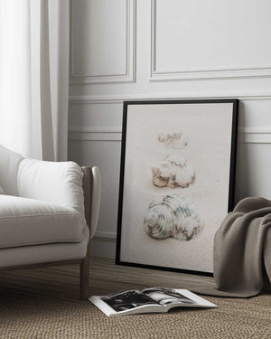 Tablou înramat „Shells” de Pictufy Studio III