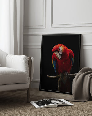 Tablou înramat „Portrait of Scarlet Macaw” de Andi Halil