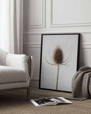 Tablou înramat „Dried_004” de Pictufy Studio III