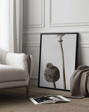 Tablou înramat „Dried_005” de Pictufy Studio III