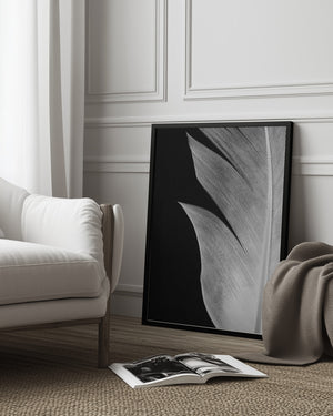 Tablou înramat „Feather_005” de Pictufy Studio III