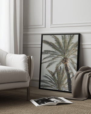 Tablou înramat „Palm_005” de Pictufy Studio III