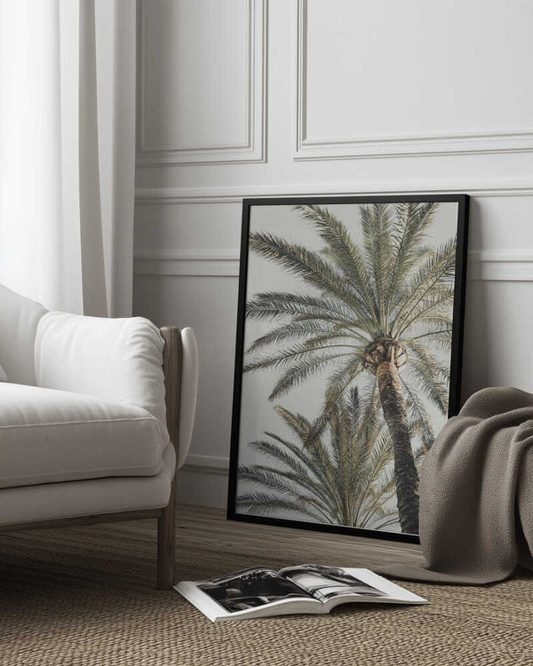 Tablou înramat „Palm_005” de Pictufy Studio III