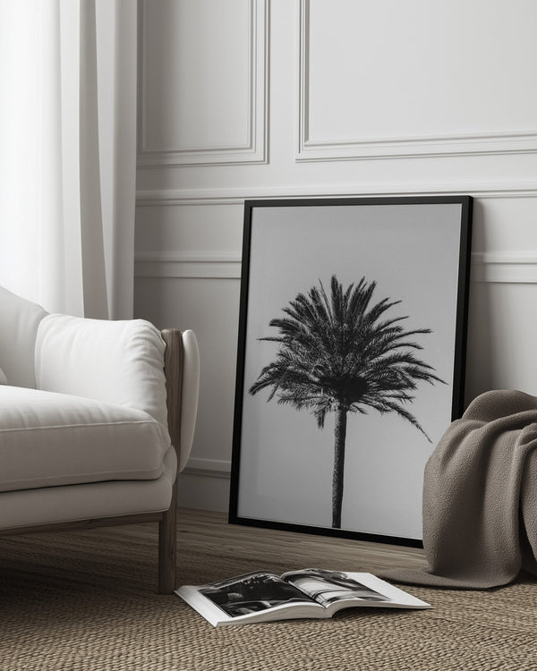 Tablou înramat „Palm_003” de Pictufy Studio III