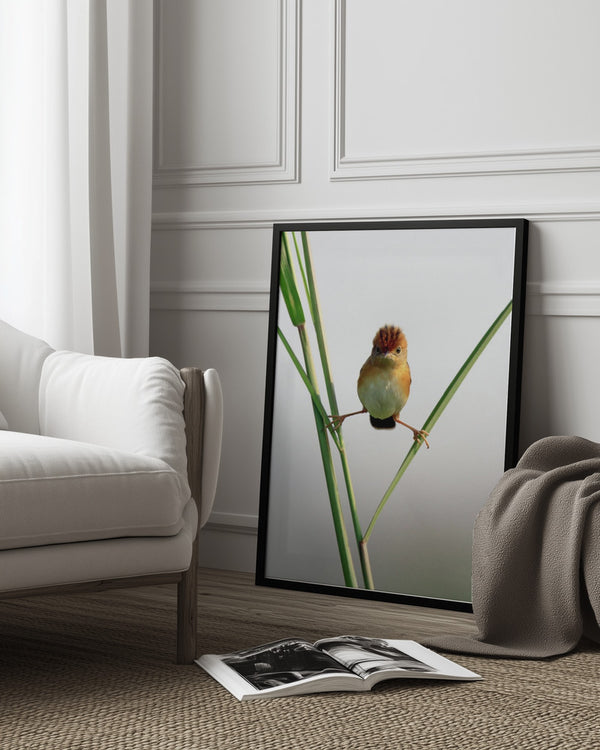 Tablou înramat „Kung Fu Master” de Lina Gunawan