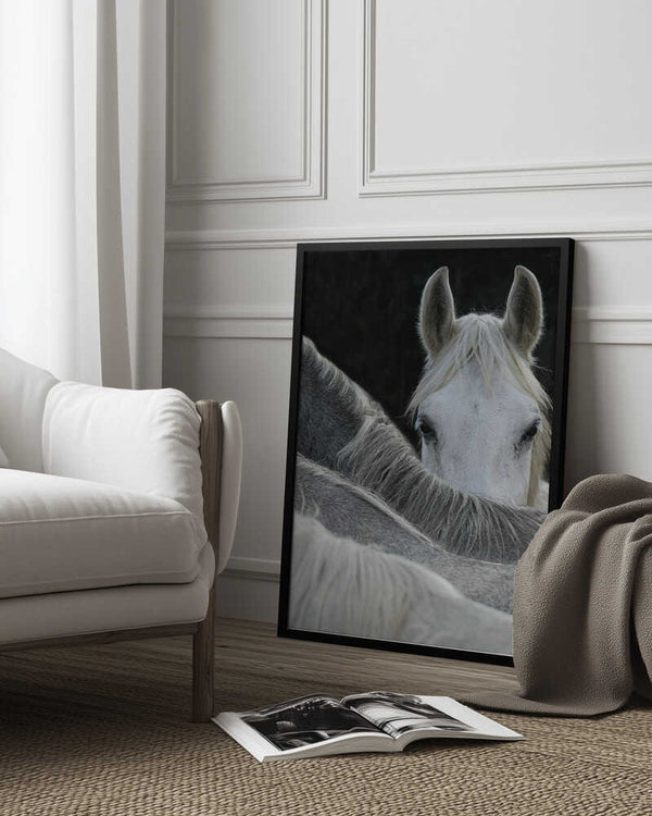 Tablou înramat „Look” de Milan Malovrh