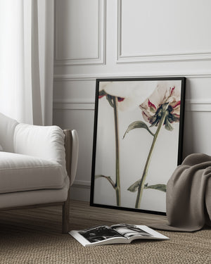 Tablou înramat „Peony 01” de Pictufy Studio III