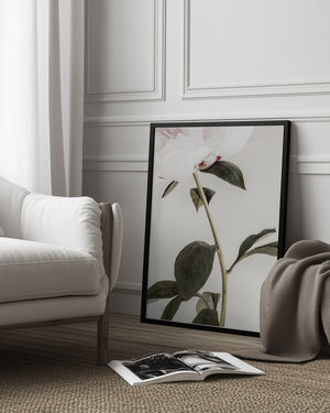 Tablou înramat „Peony 09” de Pictufy Studio III