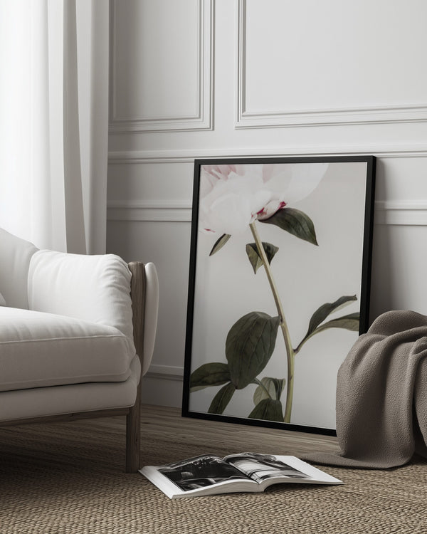 Tablou înramat „Peony 09” de Pictufy Studio III
