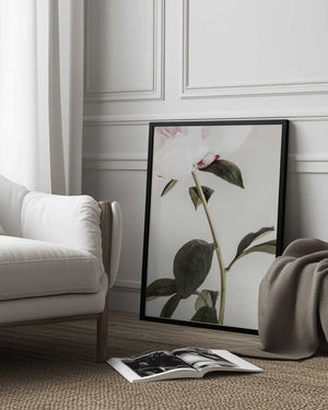 Tablou înramat „Peony 09” de Pictufy Studio III