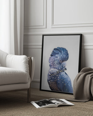 Tablou înramat „Black Cockatoo” de Kathrin Pienaar