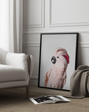 Tablou înramat „Pink Cockatoo” de Kathrin Pienaar