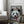 Tablou înramat „cat on panda bear” de Adam Lawless