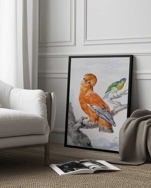Tablou înramat „Two Exotic Birds” de Aert Schouman