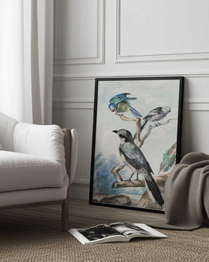 Tablou înramat „Three Birds” de Aert Schouman