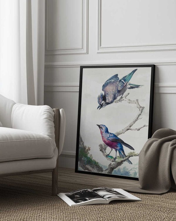 Tablou înramat „Two Birds  a Blue Jay and a Purple Breasted Cotinga” de Aert Schouman