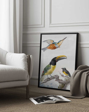 Tablou înramat „Three Birds  a Kingfisher, a Prince Von Wied's Toucan and an Sparrow” de Aert Schouman