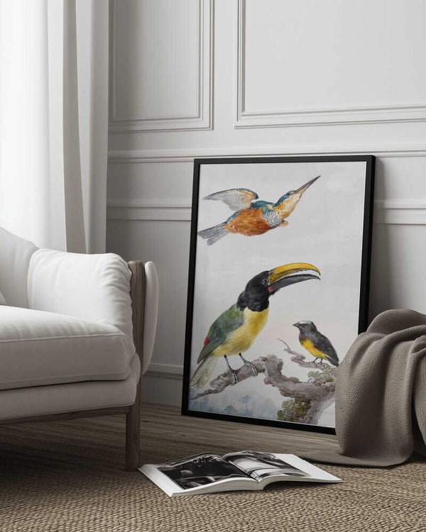 Tablou înramat „Three Birds  a Kingfisher, a Prince Von Wied's Toucan and an Sparrow” de Aert Schouman