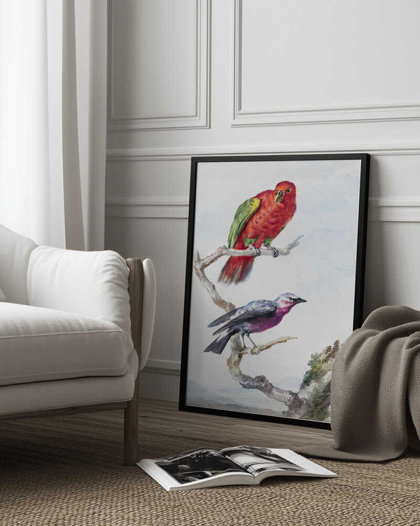 Tablou înramat „Two Birds, Including a Red Green Parrot” de Aert Schouman