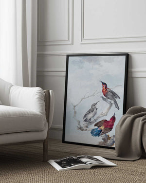 Tablou înramat „Three Crimson Sunbirds” de Aert Schouman