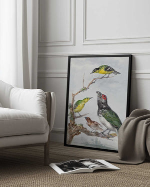 Tablou înramat „Four Different Birds On a Branch” de Aert Schouman