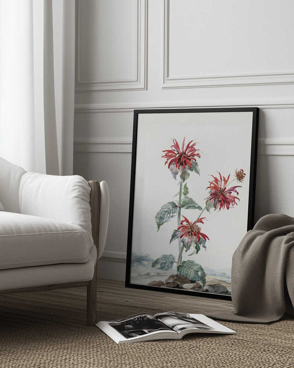 Tablou înramat „A Red Bergamot In a Landscape” de Aert Schouman