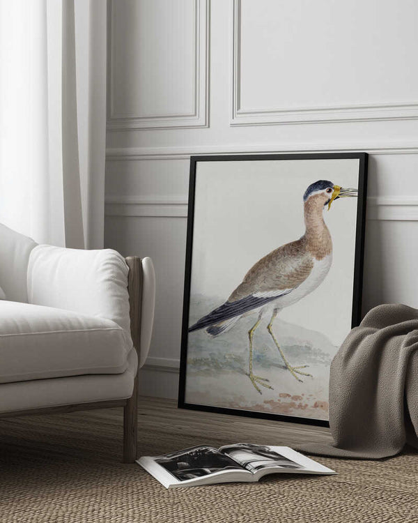 Tablou înramat „A Yellow Wattled Lapwing” de Aert Schouman
