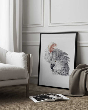 Tablou înramat „Cockatoo Head” de Aert Schouman