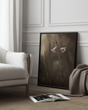 Tablou înramat „A small flower on the ground” de Allan Wallberg