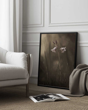 Tablou înramat „A small flower on the ground” de Allan Wallberg