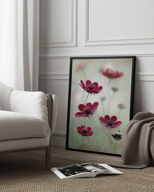 Tablou înramat „Cosmos sway” de Mandy Disher