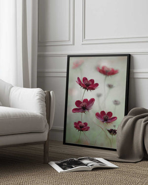 Tablou înramat „Cosmos sway” de Mandy Disher
