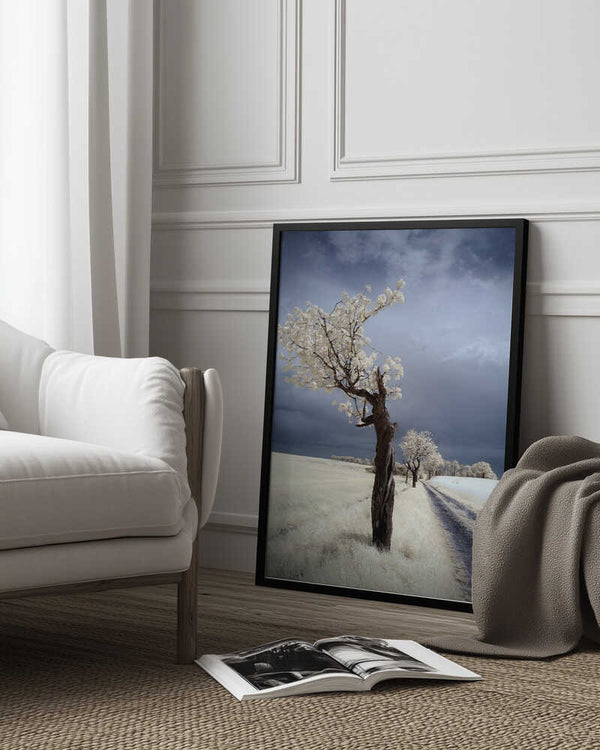 Tablou înramat „IRenka” de Piotr Krol (Bax)