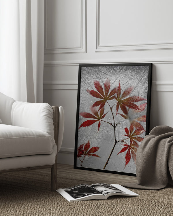 Tablou înramat „red maple” de Secundino Losada