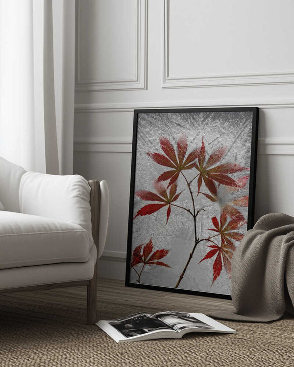 Tablou înramat „red maple” de Secundino Losada