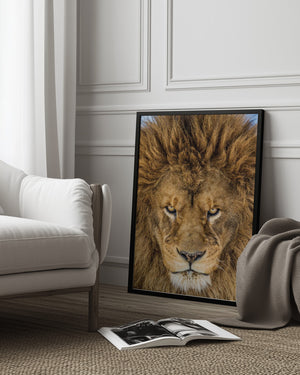 Tablou înramat „Serious Lion” de Mike Centioli