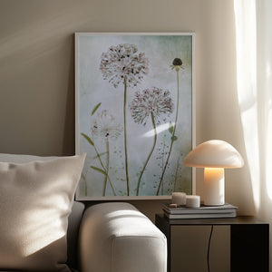 Tablou înramat „Allium” de Mandy Disher