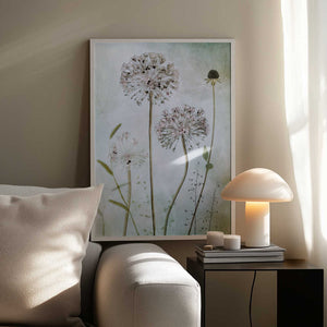 Tablou înramat „Allium” de Mandy Disher