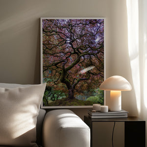 Tablou înramat „Japanese Maple Tree” de Mike Centioli
