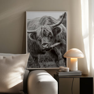 Tablou înramat „The Bull” de Jacky Parker