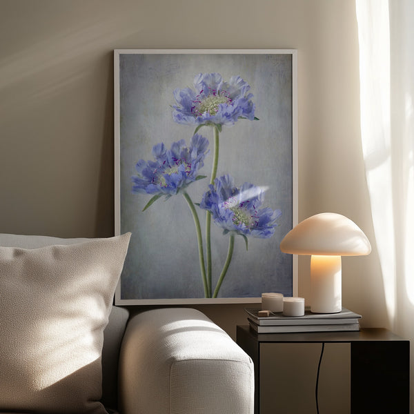 Tablou înramat „Scabiosa” de Mandy Disher