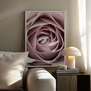 Tablou înramat „Pink Rose No 04” de Pictufy Studio III