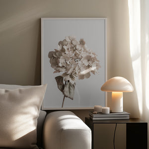 Tablou înramat „Beige dried flower” de Pictufy Studio III