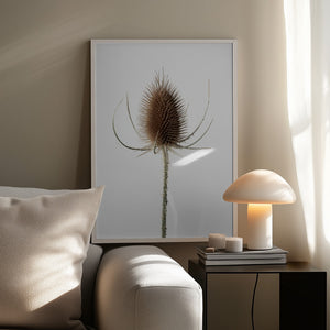 Tablou înramat „Dried_004” de Pictufy Studio III