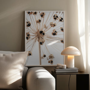 Tablou înramat „Dried_007” de Pictufy Studio III