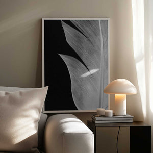 Tablou înramat „Feather_005” de Pictufy Studio III