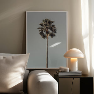 Tablou înramat „Palm_001” de Pictufy Studio III