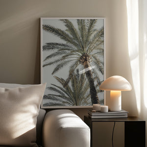 Tablou înramat „Palm_005” de Pictufy Studio III